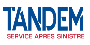Logo TandemSAS